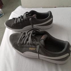 Pumas