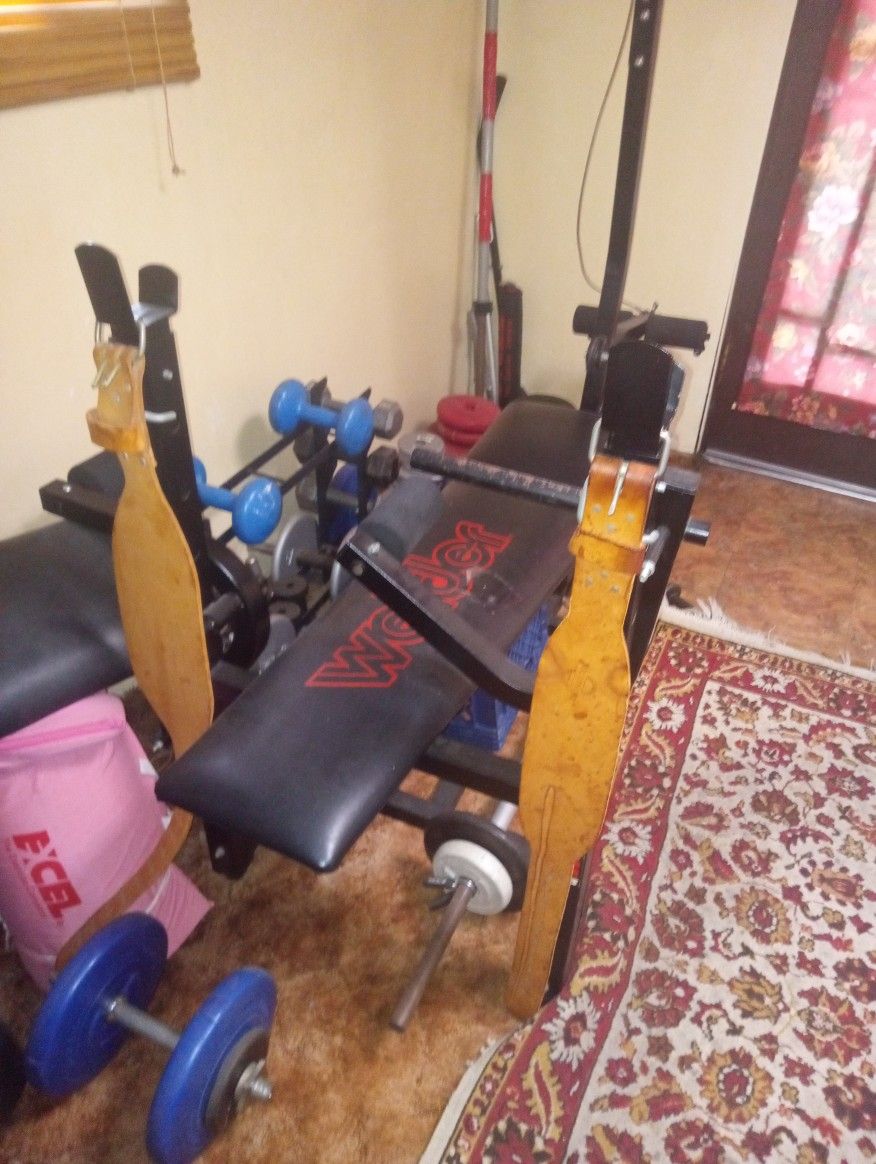Weight Bench And Weights 