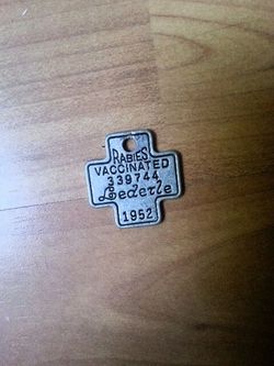 Pendant. Neckless piece (not for dog)