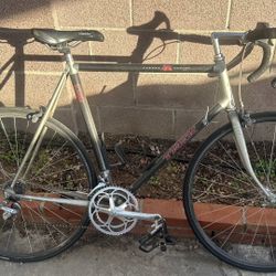 Trek 2300 Carbon ZX series classic road bike