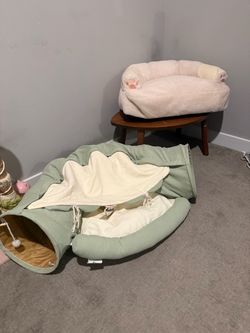 Cat tunnel and cat couch