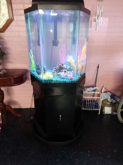Aquarium Octagon