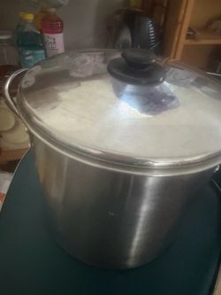 Large stainless steel pot