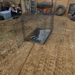 Dog kennel 