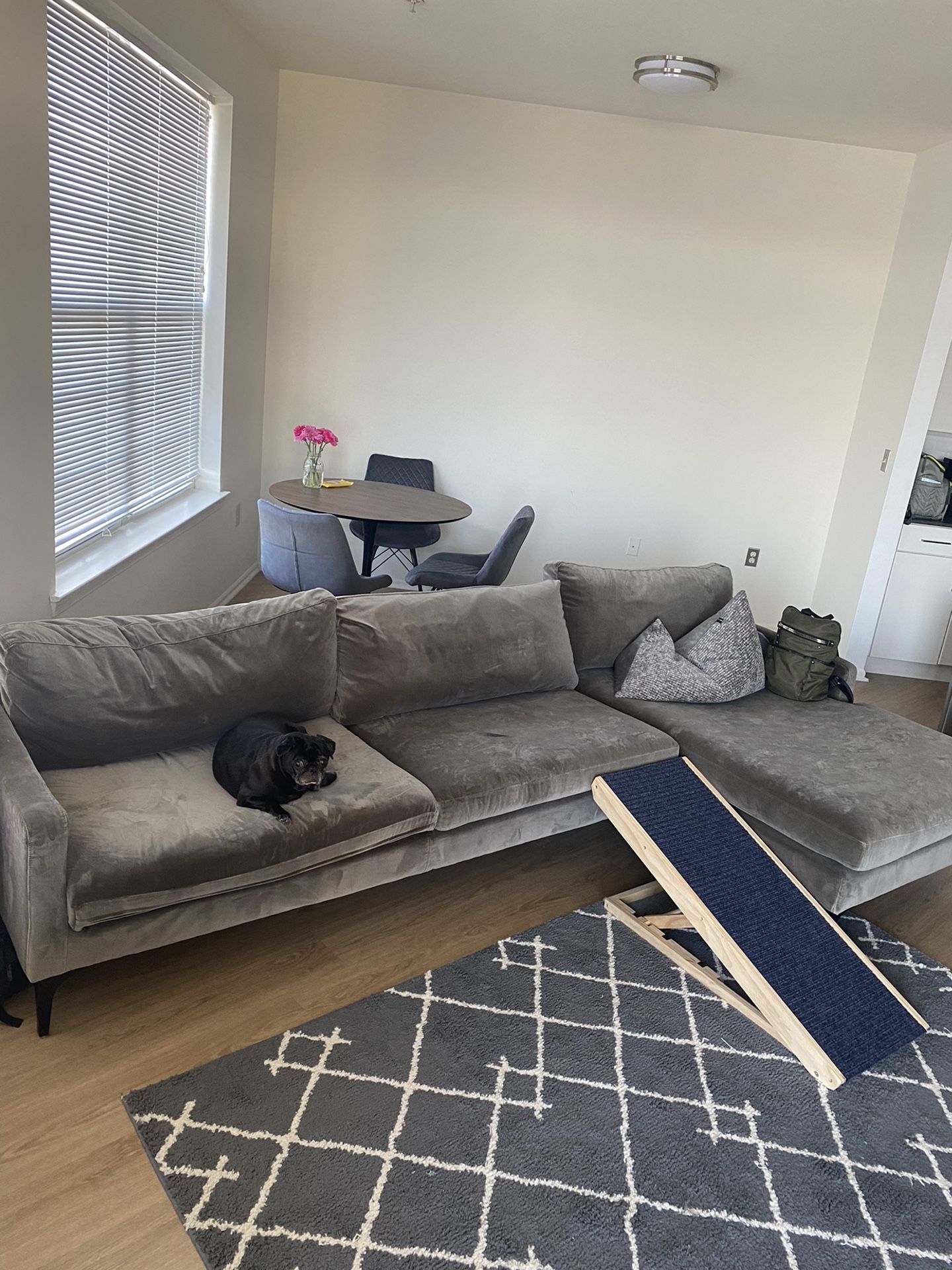 Sectional Modern Velvet Style Couch 2 Months Old