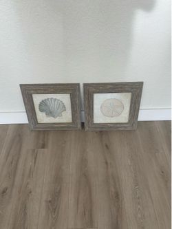 Coastal seashell sand dollar framed art 17x17