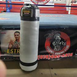 Punching Bag 