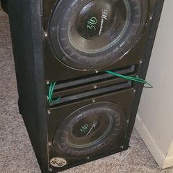 2 10" Subs With Enclosure 