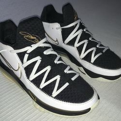 NIKE LEBRON 17 LOW. (make a offer)