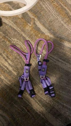 Brand new purple/pink dog harness