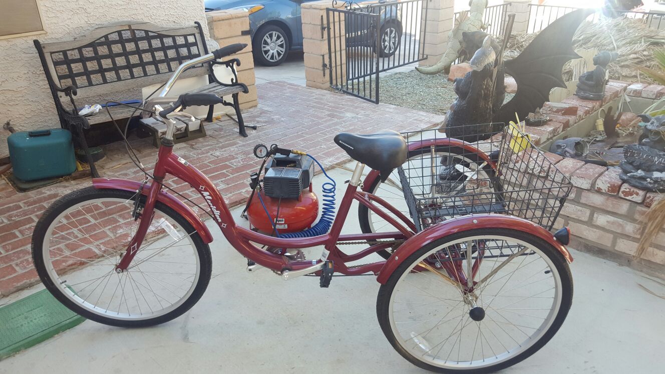 Adult Trike bike