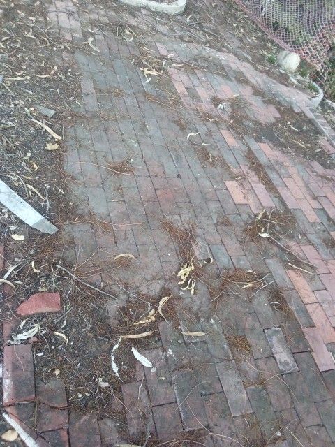 Red Brick. 20 Cents Each