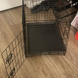 Free Animal Carrier (cats, small dogs)