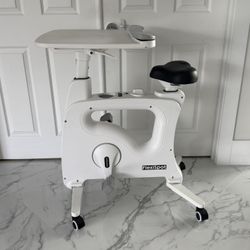 Flexispot Home Office All-in-One Desk Bike/Bike Workstation (V9)