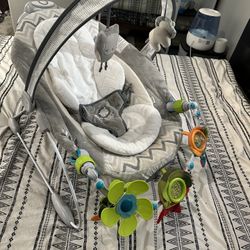 Ingenuity Baby Bouncer 