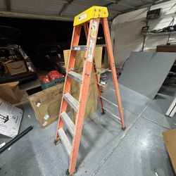 6 Ft Ladder