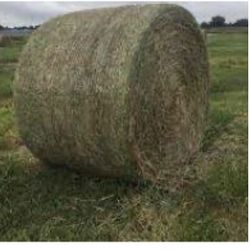 Hay Bails Dry Round 