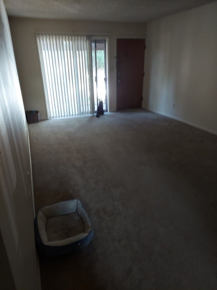 Just Relocated