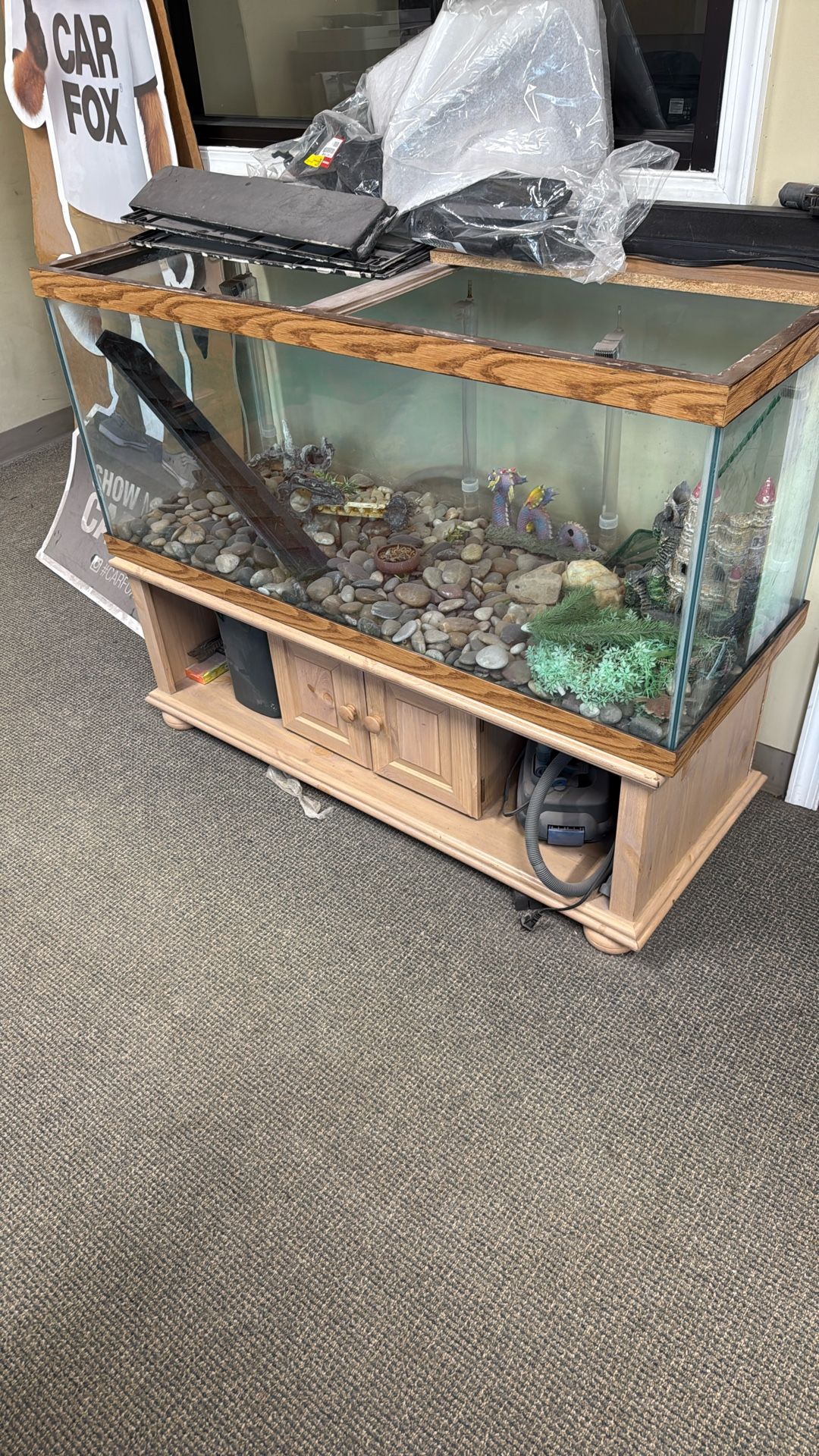 Large Fish Tank
