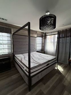 Free mattress and Frame