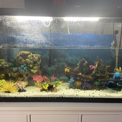 Fish Tank 65gallons