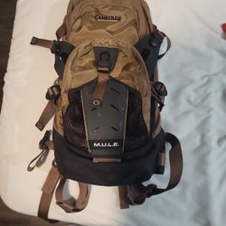 Camelbak M.U.L.E And Osprey Reservoir 