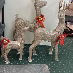 Reindeer 