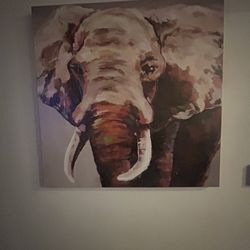 Picture Elephant