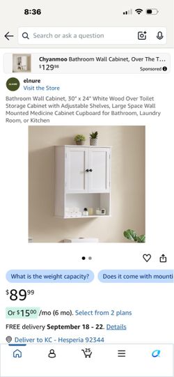 Bathroom Wall Cabinet