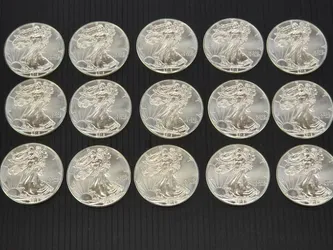 United States Lot 15 of Silver Eagle 1oz Silver Coins! (AZP032152)