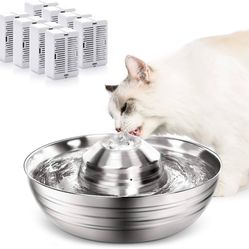 Cat Water Bowl 
