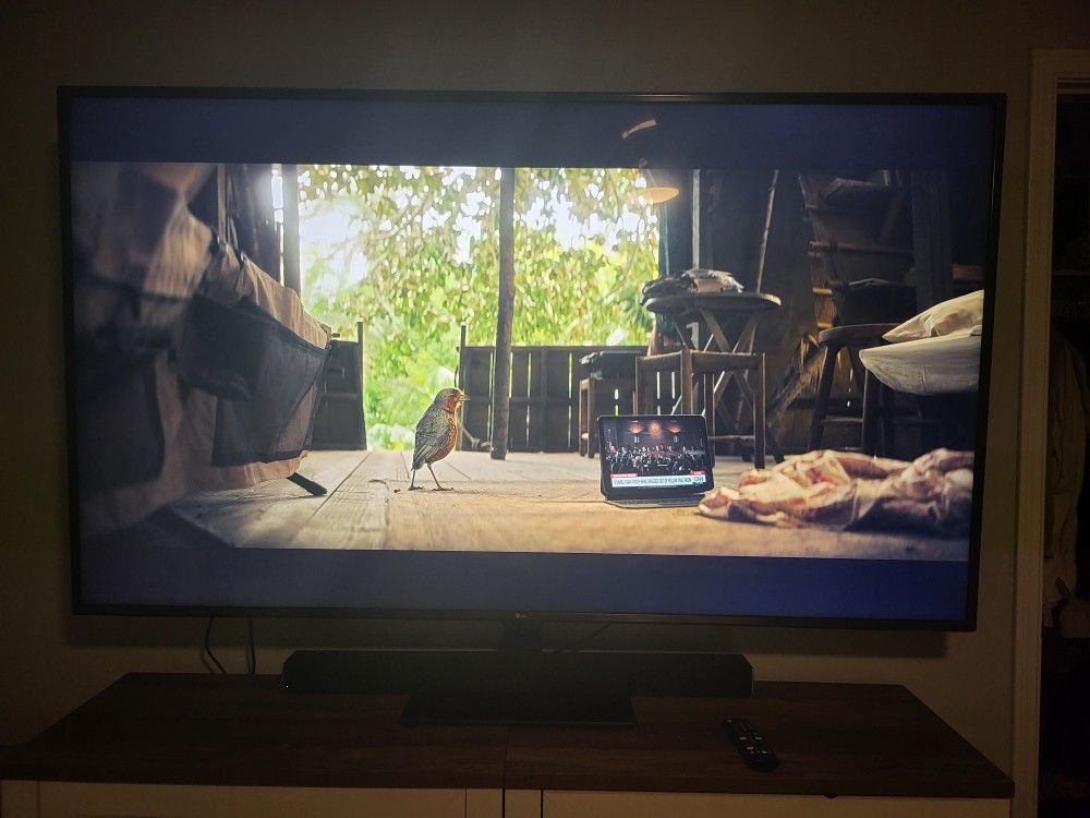 75" LG Smart TV w/ Stand, Wall Mount & Smart Remote