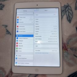 iPad Mini First Gen 