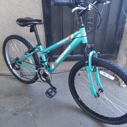 BIKE NISHIKI PUEBLO TIRES SIZE 24 
