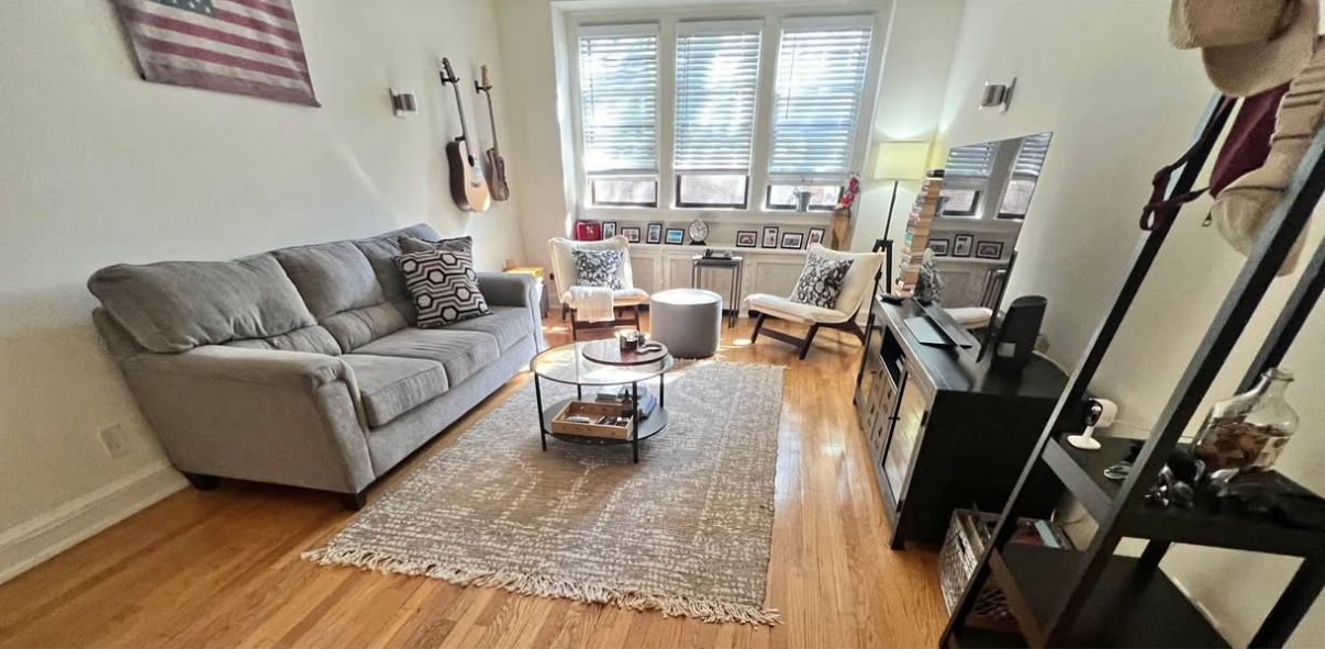 Light Grey Fabric Sofa 🛋️ Plush Comfort