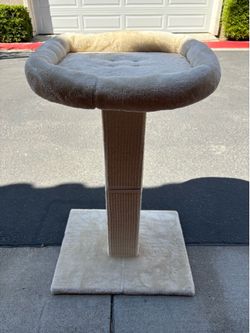 Slightly Used Cat Bed and Scratch Pole