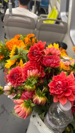 Flowers by the bunch