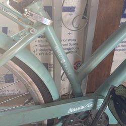 Green Hurry Adult Bike 