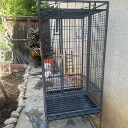 Bird Cage 