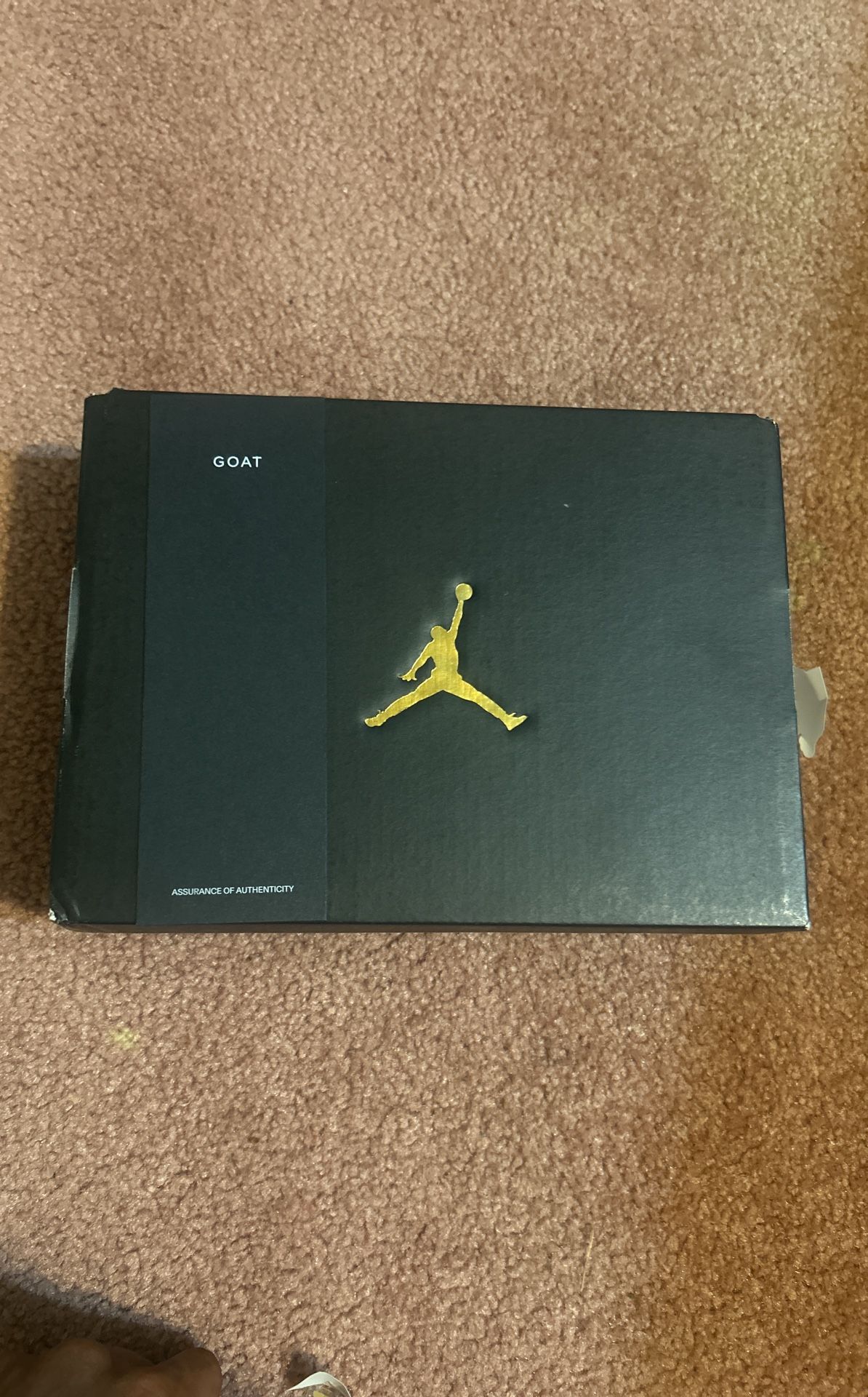 Jordan Retro 4 (preschool