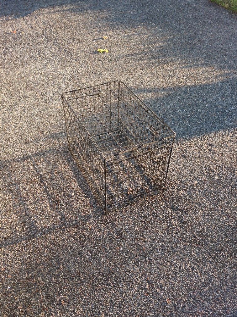 Dog Kennel - Great Condition