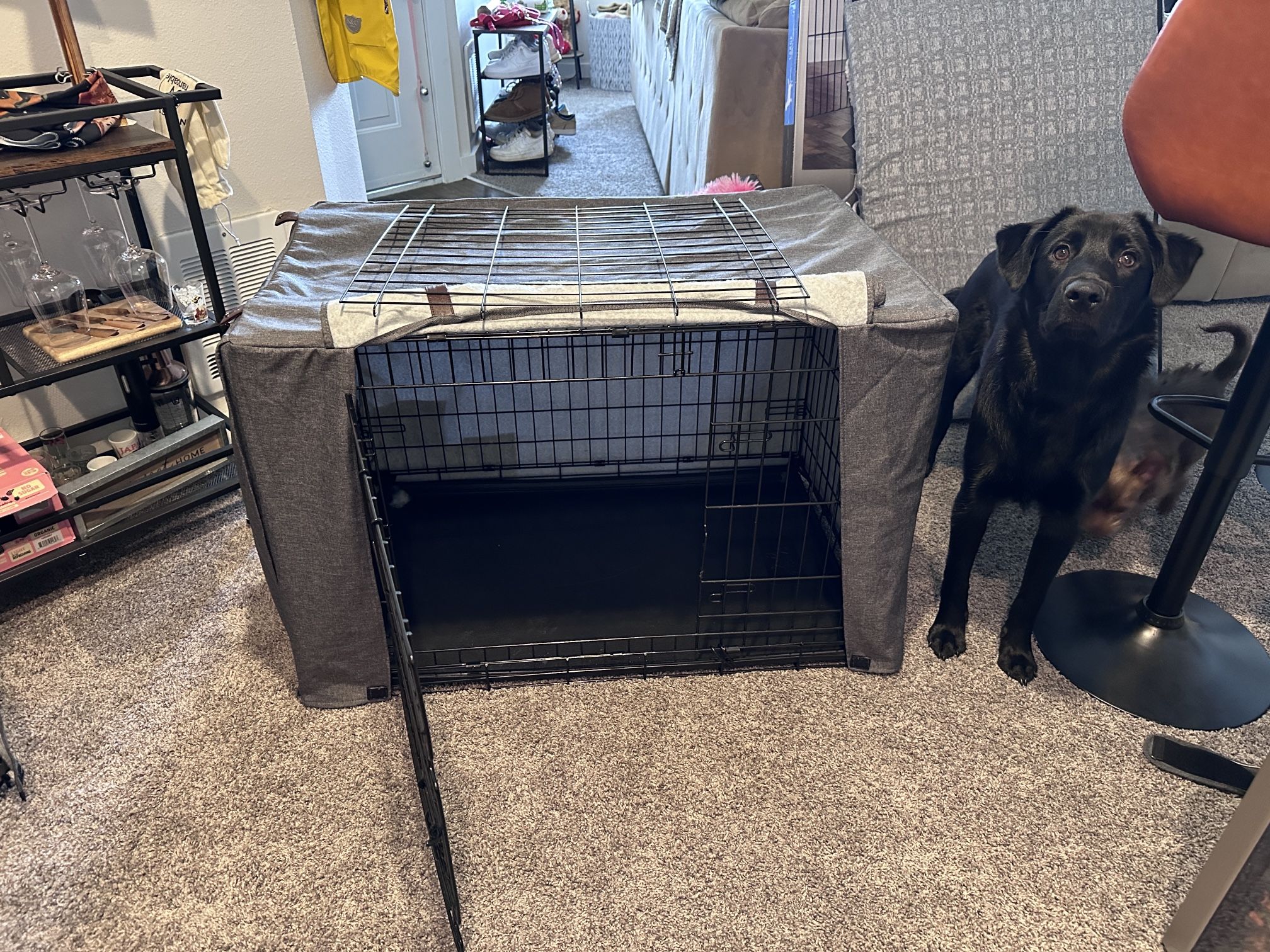 Dog Crate & Crate Cover (36in)