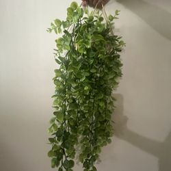 green hanging bush 