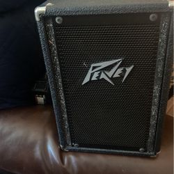   Peavey Triflex  Speaker