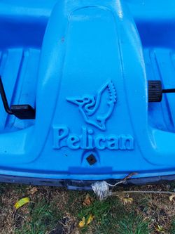 "Paddle Boat" Pelican