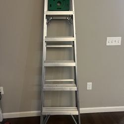 6ft Ladder 