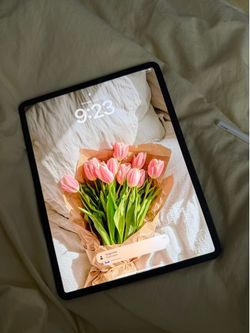 iPad Pro 12.9in 4th Gen