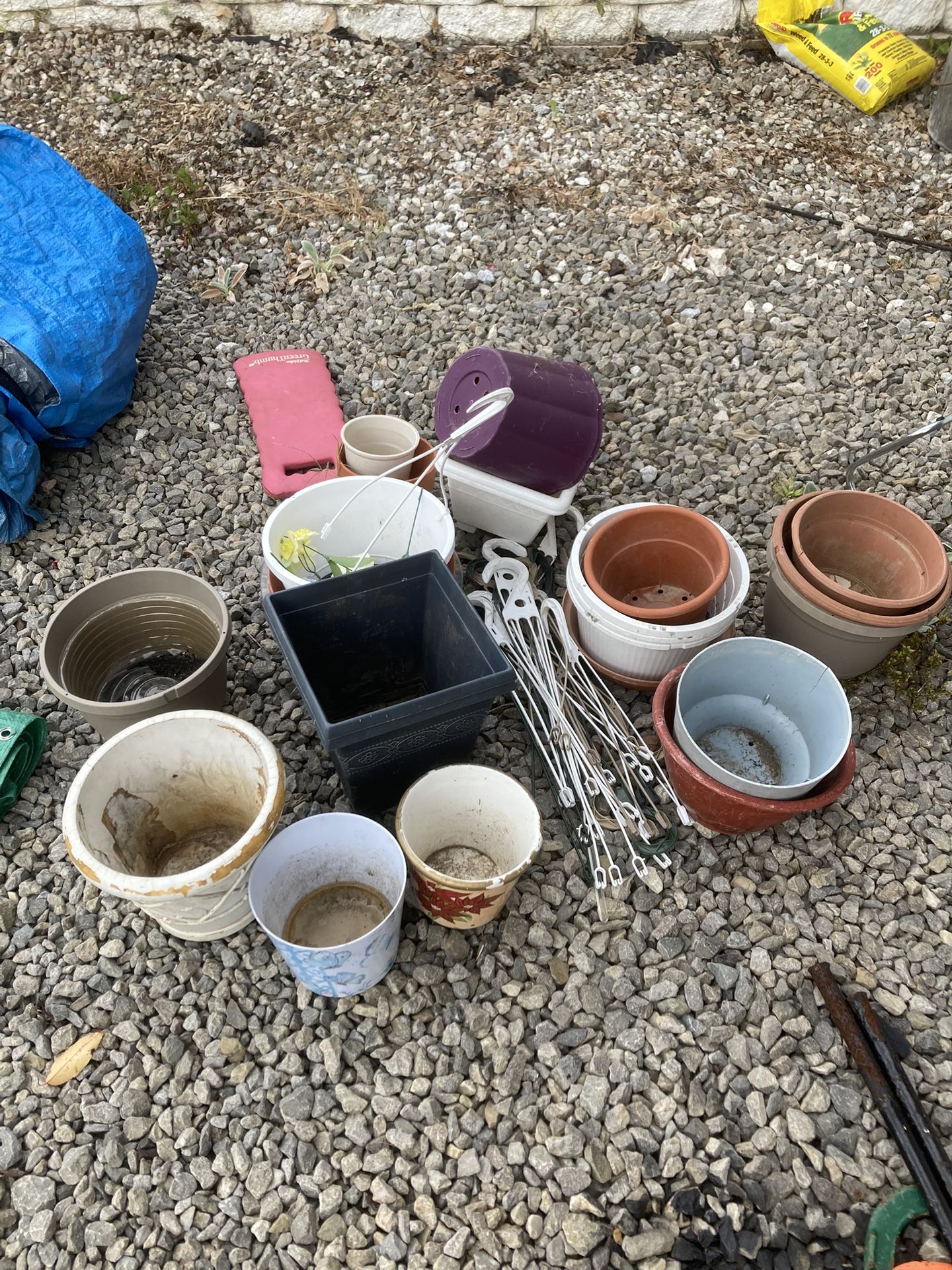 Planting Pots & Hanging Baskets