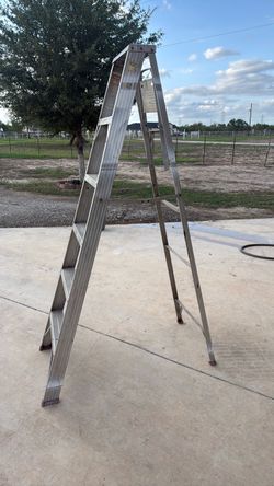 6ft ladder