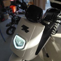 Zebra Moped Scooter